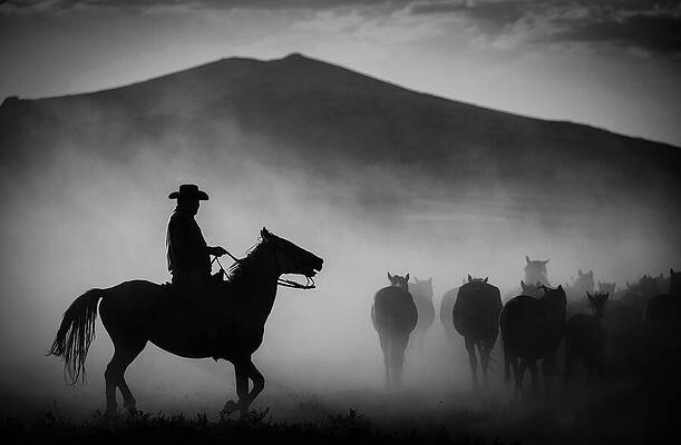 Mountain Photograph - Cowboy Silhouetted In The Dust by Printed View