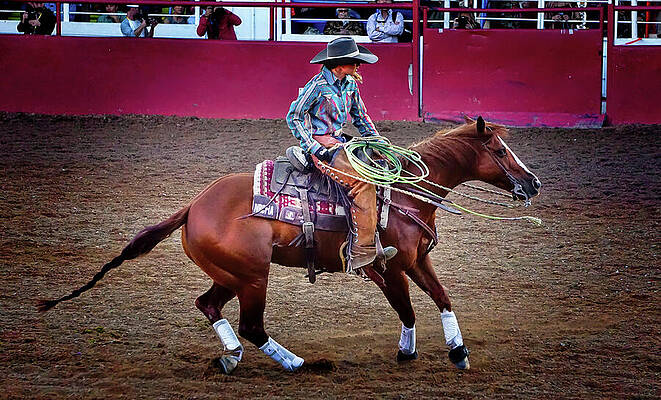 Horse Photograph - Cowgirl Spinning Horse In Western Horsemanship Action by Waterdancer