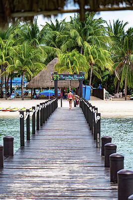 Mexico Wall Art featuring the photograph Cozumel Boardwalk by Tommy Farnsworth
