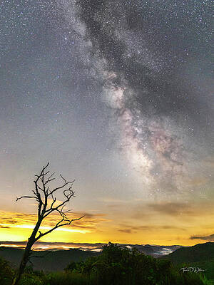 Appalachia Wall Art featuring the photograph Cradle Of Forestry Blue Ridge Parkway by Theresa D Williams Smoky Mountains