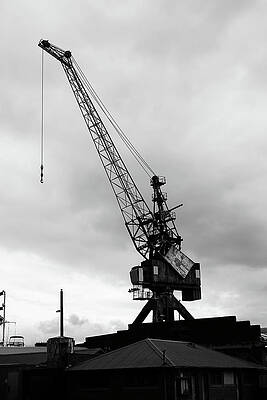 Wall Art featuring the photograph Cranes Of Cockatoo Island Warameah 2 by Richard Reeve