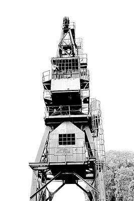 Wall Art featuring the photograph Cranes Of Cockatoo Island Warameah 3 by Richard Reeve
