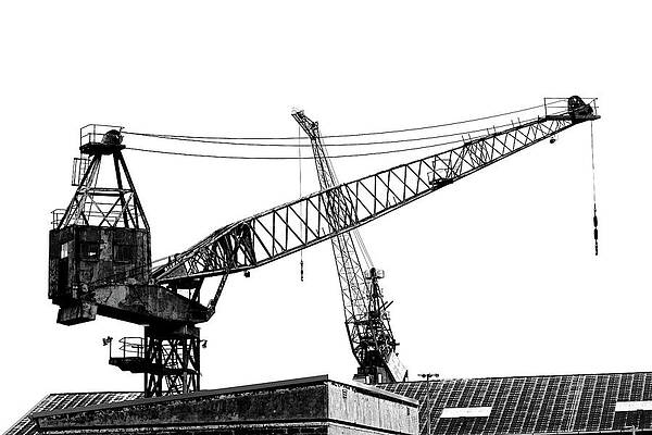 Wall Art featuring the photograph Cranes Of Cockatoo Island Warameah 4 by Richard Reeve
