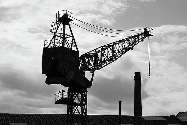 Wall Art featuring the photograph Cranes Of Cockatoo Island Wareamah 1 by Richard Reeve