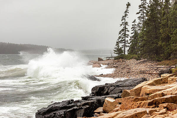Rock Wall Art featuring the photograph Crashing Waves by Craig A Walker