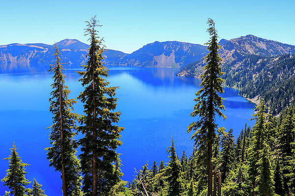 Island Wall Art featuring the photograph Crater Lake Rim Trail 5 by Dawn Richards