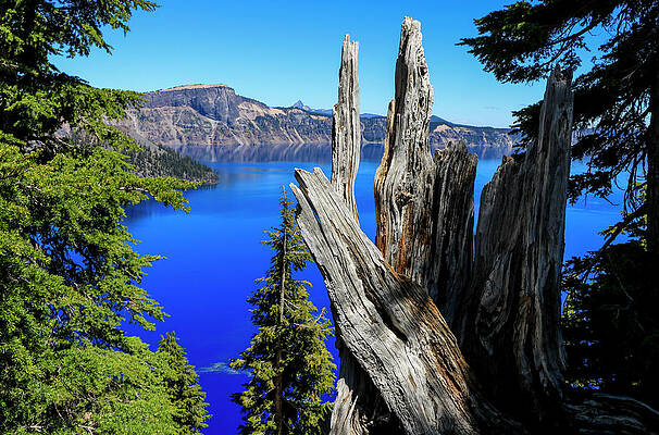 Island Wall Art featuring the photograph Crater Lake View 5 by Dawn Richards