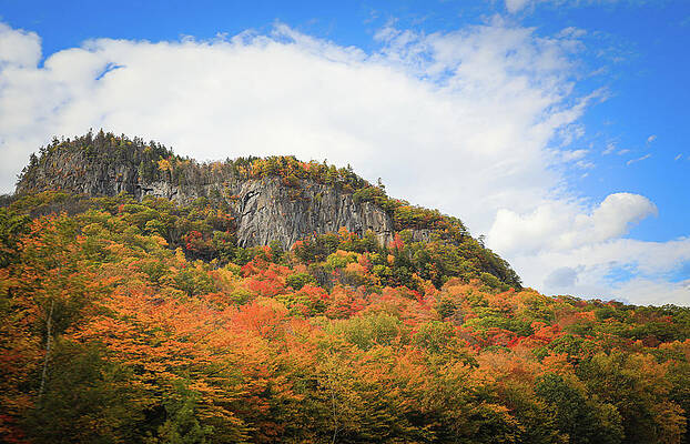 Wall Art featuring the photograph Crawford Notch Autumn Cliffs by Dan Sproul
