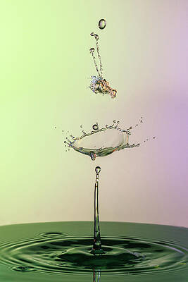 Abstract Wall Art featuring the photograph Crazy by Sue Leonard