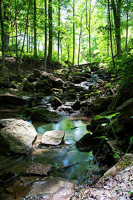 Majestic Photograph - Creek Flowing Over Rocks by John Twynam