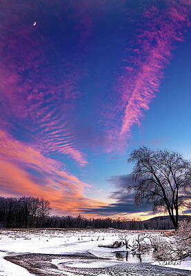 Tree Photograph - Crescent Moon Sunset by Jim Carlen