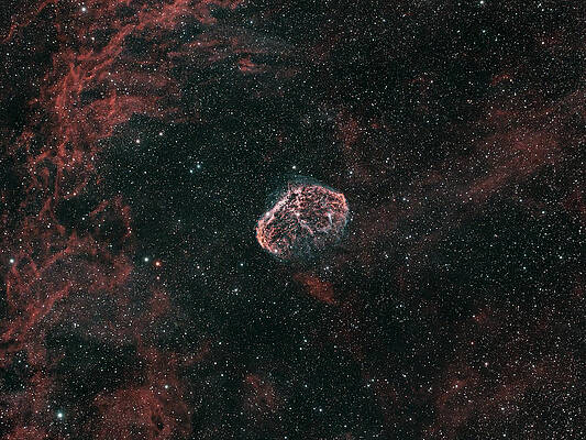 Nebula Photograph - Crescent Nebula by Brian Weber