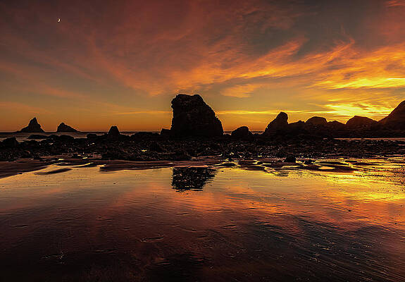Photograph - Crimson Crescent by Tim Lyden