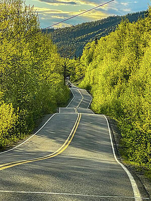 Tree Wall Art featuring the photograph Crooked Road by Harry Banks