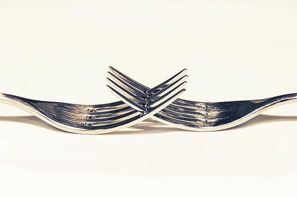 Photograph - Crossing Forks by Francisco Ruiz Navas