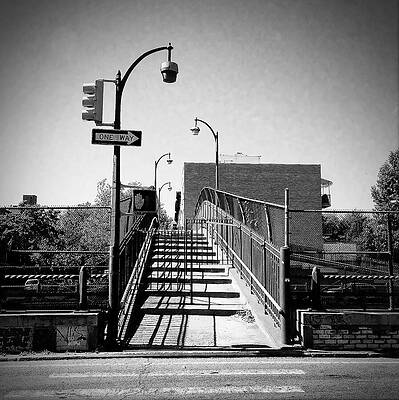 Wall Art featuring the photograph Crossing by Onedayoneimage Photography