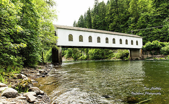 Photograph - Crossing The McKenzie River by Tom Cochran