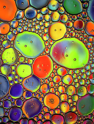 Yellow Wall Art featuring the photograph Crowded Space by Elvira Peretsman