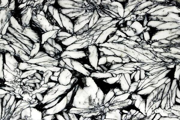 Abstract Photograph - Crowds by Eric Kyle