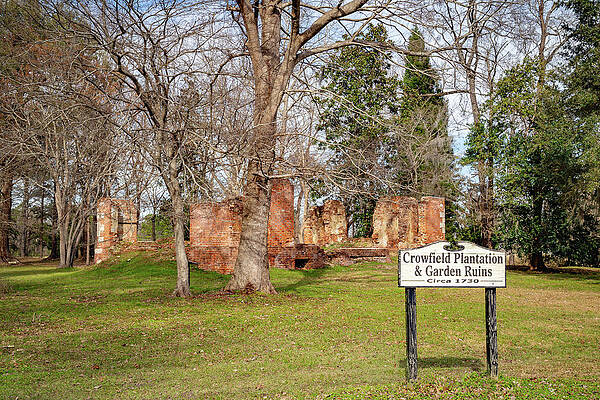 Wall Art featuring the photograph Crowfield Plantation by Cindy Robinson
