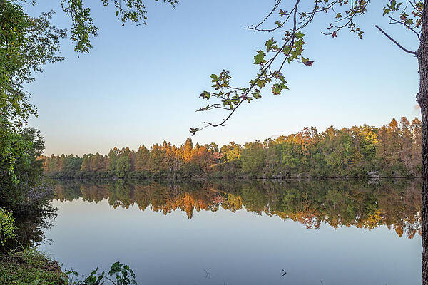 Wall Art featuring the photograph Crowfield Plantation Lake 2 by Cindy Robinson