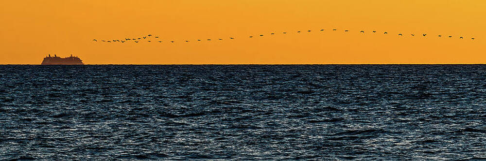 Sky Photograph - Cruise Ship Into The Sunset Mazatlan Sinaloa Mexico by Tommy Farnsworth