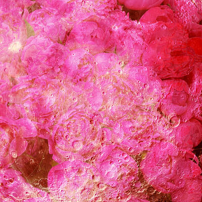 Abstract Digital Art - Crush by Canessa Thomas