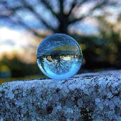 Inspirational Photograph - Crystal Ball Tree by Greg Lane