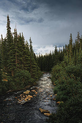Serene Mountain Stream Wall Art