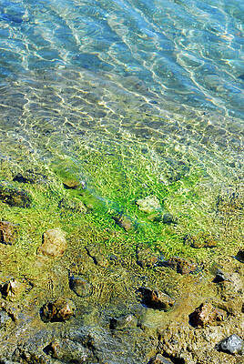 Crystal Clear Water with Textured Ripples Nature Photography Print by Severija Kirilovaite