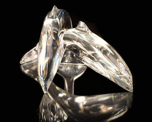 Wall Art featuring the photograph Crystal Dolphins by Steven Nelson