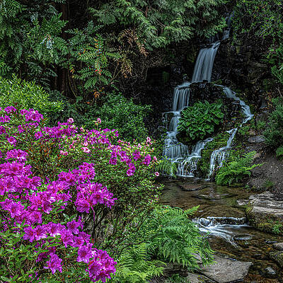 Waterfall Wall Art featuring the photograph Crystal Springs by Tim Lyden