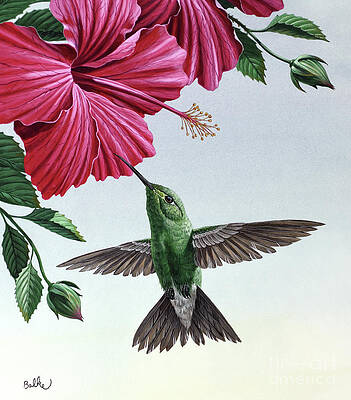 Nature Wall Art featuring the painting Cuban Emerald Hummingbird by Don Balke