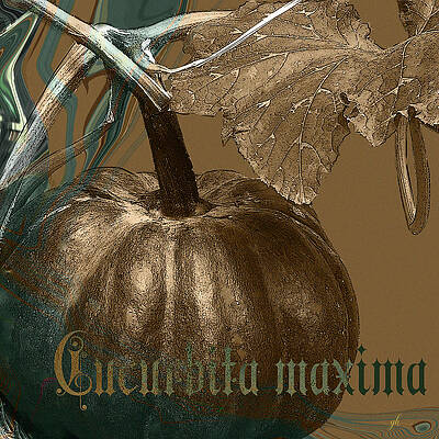 Wall Art featuring the digital art Cucurbita Maxima by Gina Harrison