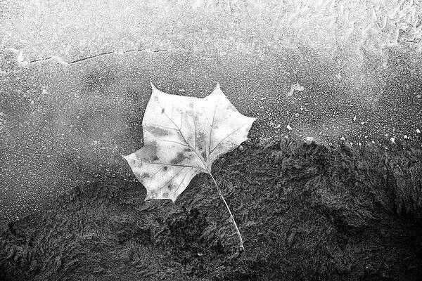 Wall Art featuring the photograph Current by Mia Badenhorst