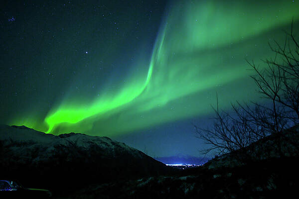 Curtains of Light by Harry Banks