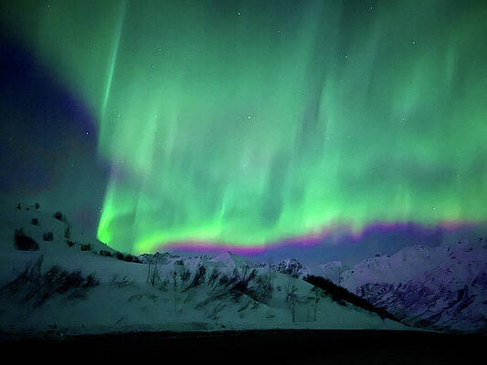 Curtain Lights by Harry Banks