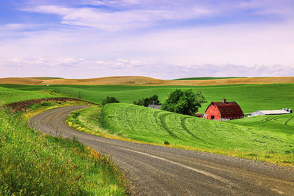 Scenic Countryside with Red Barn Wall Art