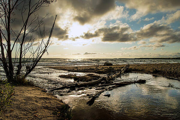 Michigan Photograph - Cut River by Vi Ray