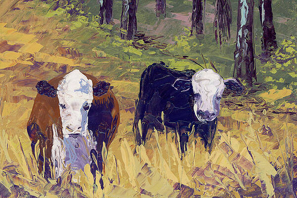 Montana Painting - Cute Cows by Raette Meredith