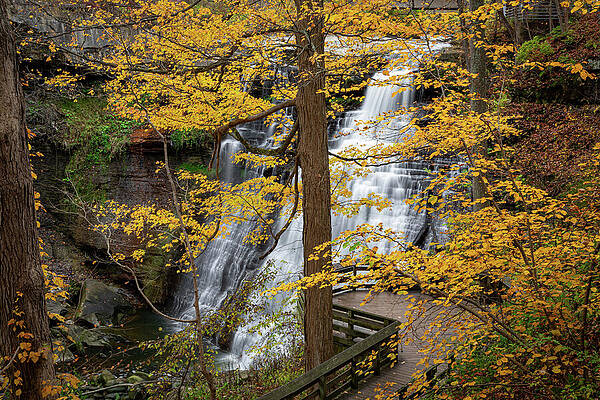 Dale Kincaid Cuyahoga Valley National Park Wall Art