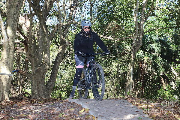 Cyclist Navigating Forest Trail Wall Art