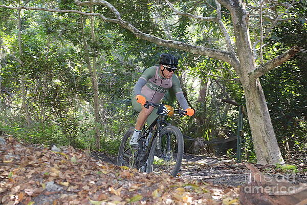Cyclist Navigating Forest Trail Wall Art