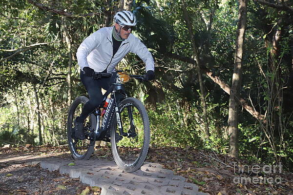 Cyclist Navigating Forest Trail Wall Art
