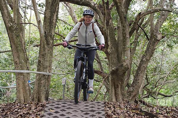 Cyclist on a Forest Trail Wall Art