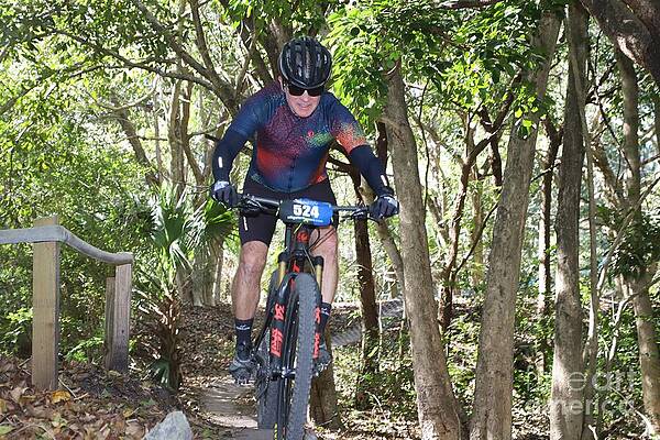 Cyclist on Forest Trail Wall Art