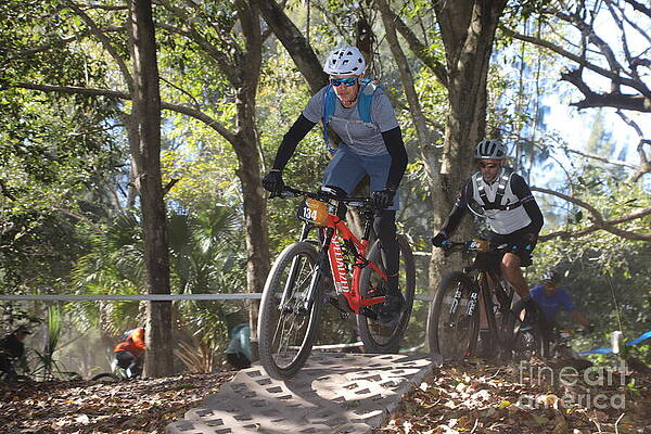 Cyclists Competing in Woodland Race Wall Art