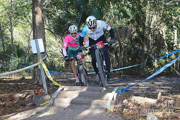 Cyclists Racing in Forest Trail Wall Art