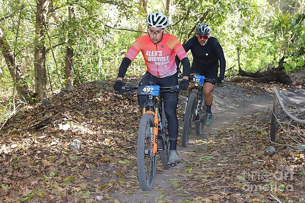 Cyclists Riding Through Forest Trail Wall Art