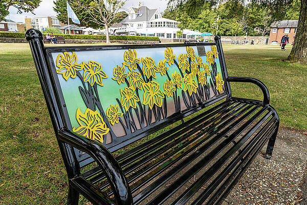 Wall Art featuring the photograph Daffodil Bench by Shirley Mitchell